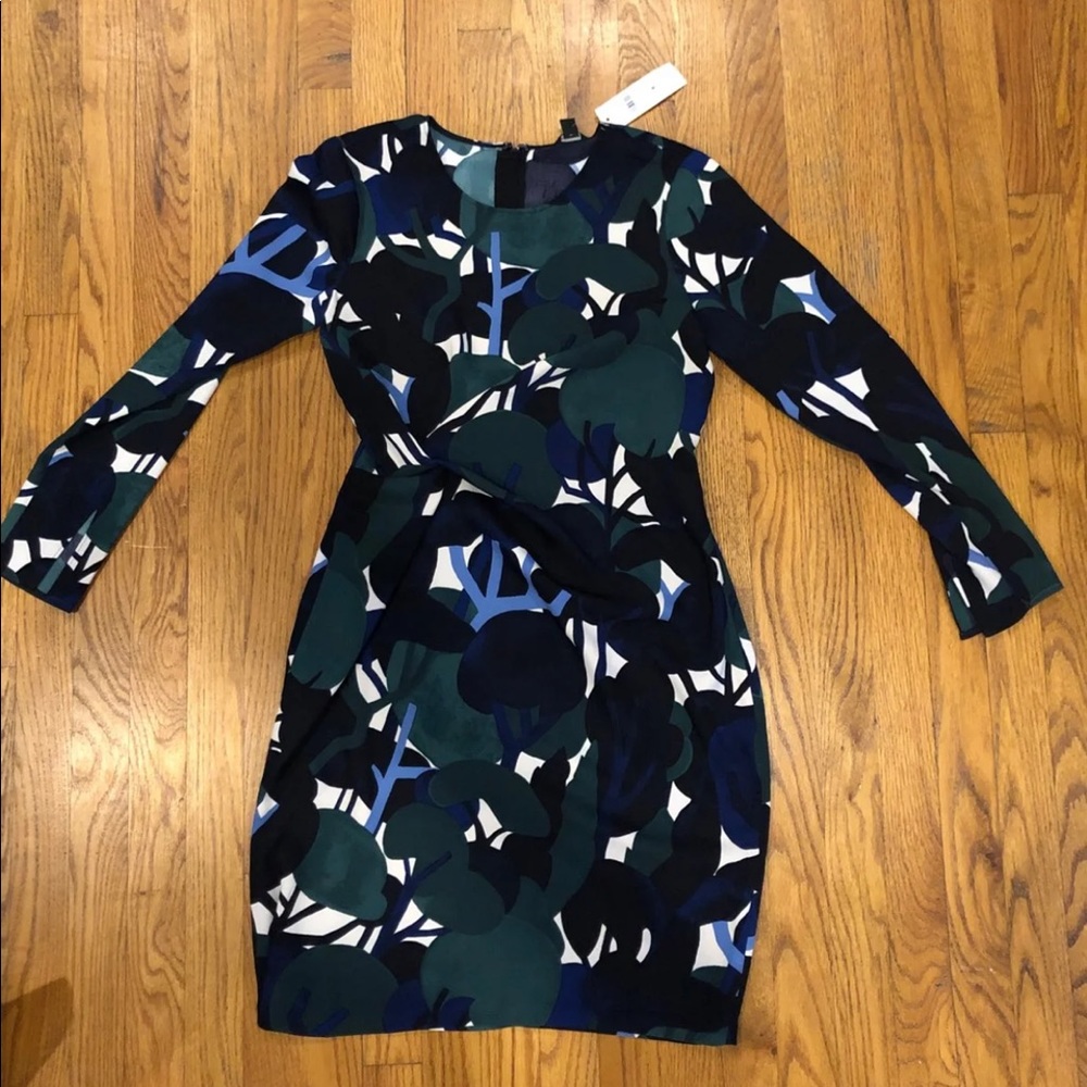Ann taylor dress